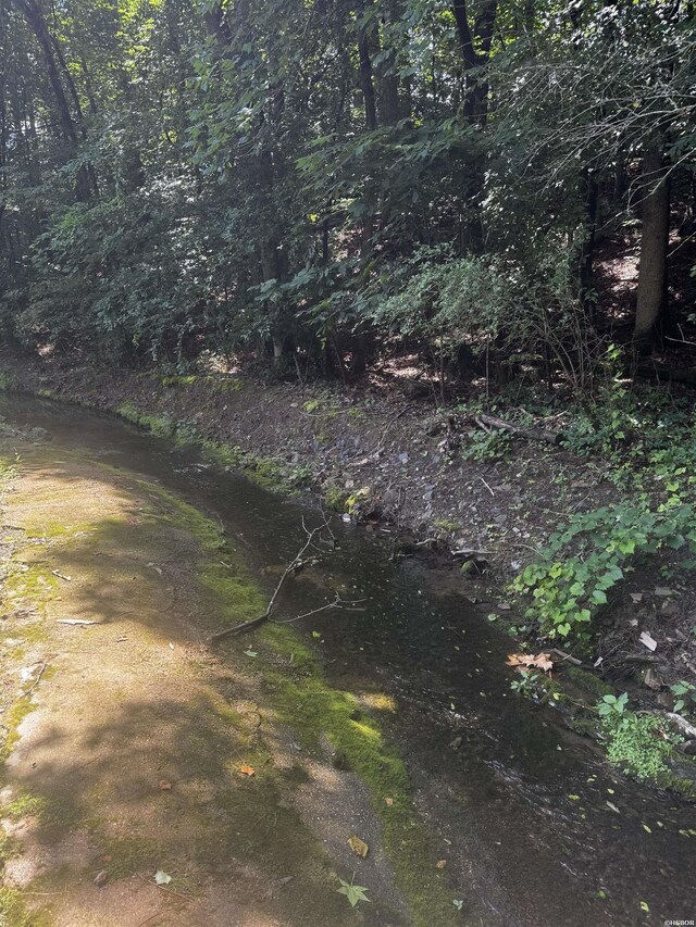 LOT31 Forest View Cir Lot 31, Hot Springs, AR 71913
