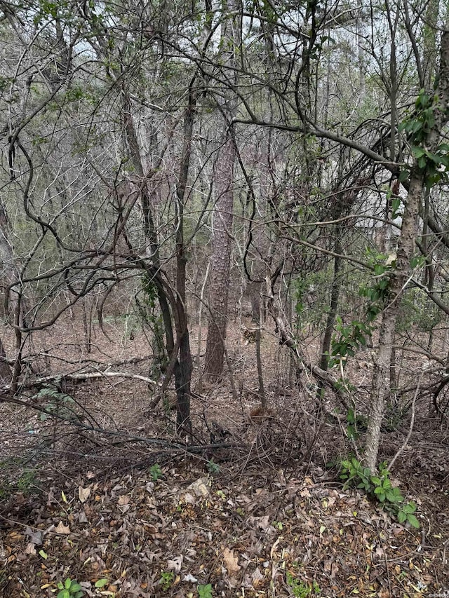 LOT31 Forest View Cir Lot 31, Hot Springs, AR 71913