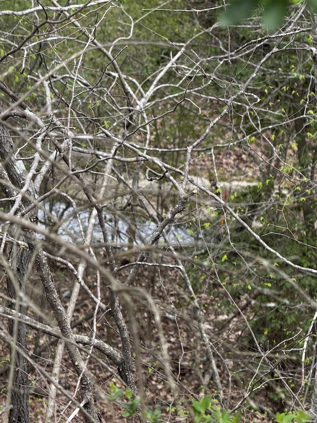 LOT31 Forest View Cir Lot 31, Hot Springs, AR 71913