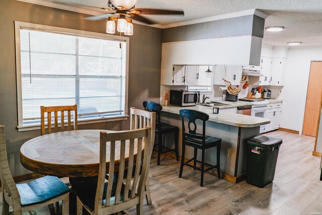 kitchen featuring light countertops, stainless steel microwave, under cabinet range hood, and white cabinets