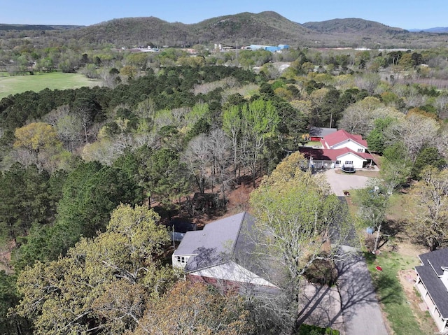 221 Perry St, Glenwood, AR 71943 - birds eye view of property with a forest view and a mountain view