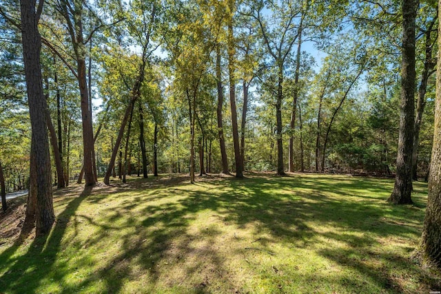 412 Long Island Drive 410 & 414, Hot Springs, AR 71913 - photo 48