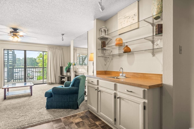 5371 Central Ave Unit 5H, Hot Springs, AR 71913 - bar area featuring a textured ceiling and ceiling fan