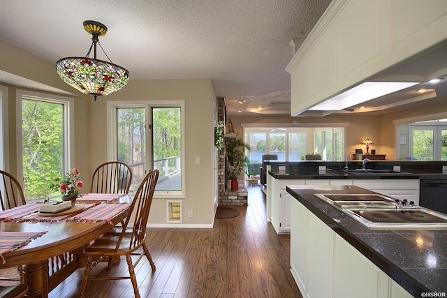 3 Narvaez Pl, Hot Springs Village, AR 71909 - photo 12