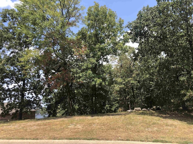 Listing photo 2 for LOT30 Stonegate Ter, Hot Springs AR 71913