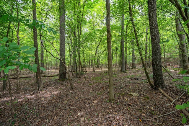 Listing photo 2 for LOT38 Fox Run, Malvern AR 72104