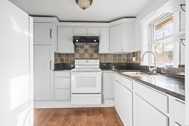 kitchen with tasteful backsplash, white electric stove, ventilation hood, and a sink