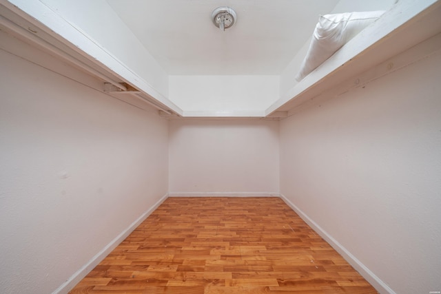 spacious closet featuring light wood finished floors