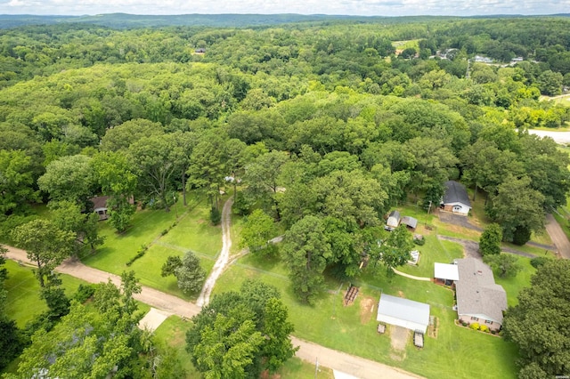 250 Mission Dr, Magnet Cove, AR 72104 - photo 48