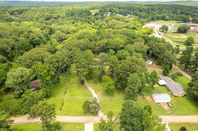 250 Mission Dr, Magnet Cove, AR 72104 - photo 46