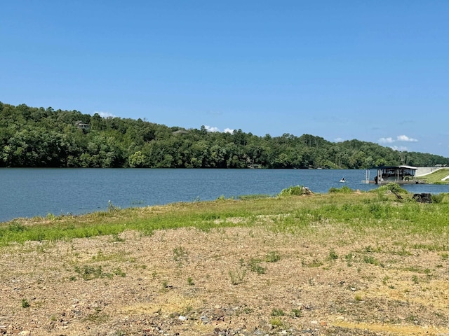 5141 Albert Pike Rd, Hot Springs, AR 71913 - photo 2