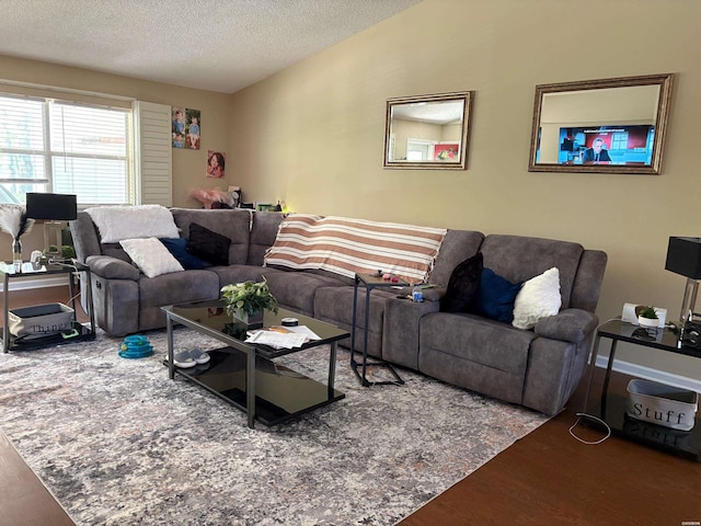 301 Halteria Ln Unit A, B, C, D, E, Hot Springs, AR 71913 - living area featuring wood finished floors and a textured ceiling