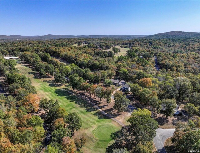 bird's eye view featuring a mountain view and a wooded view