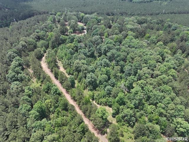 177 Timberlane Rd, Dierks, AR 71833 - photo 45