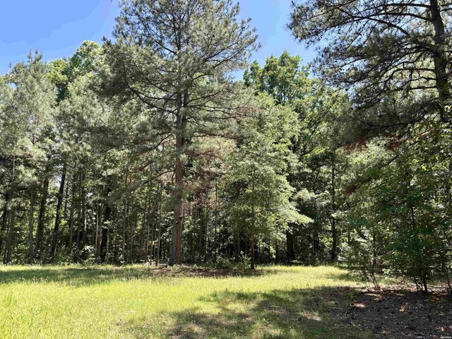 177 Timberlane Rd, Dierks, AR 71833 - photo 42