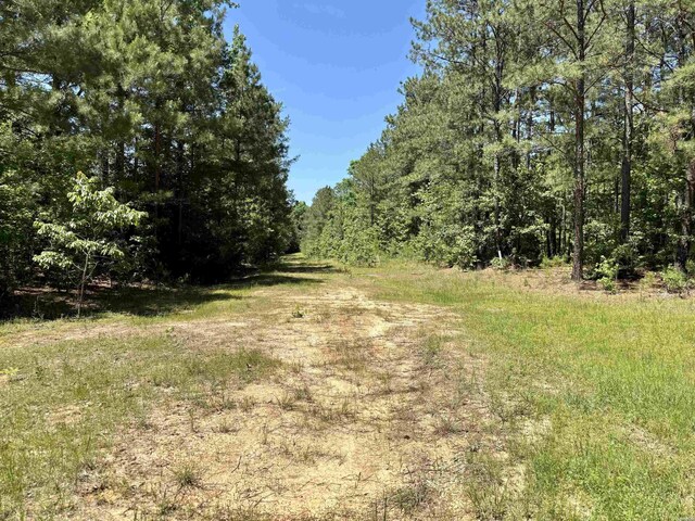 177 Timberlane Rd, Dierks, AR 71833 - photo 43