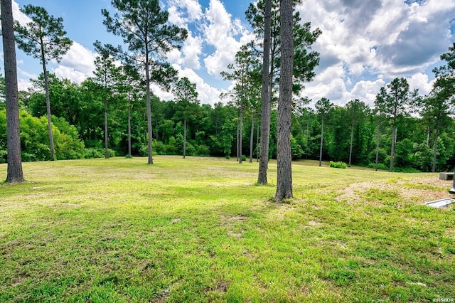 152 Anderson Loop, Amity, AR 71921 - view of green lawn featuring a wooded view