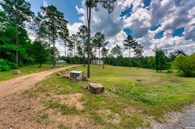 152 Anderson Loop, Amity, AR 71921 - view of yard