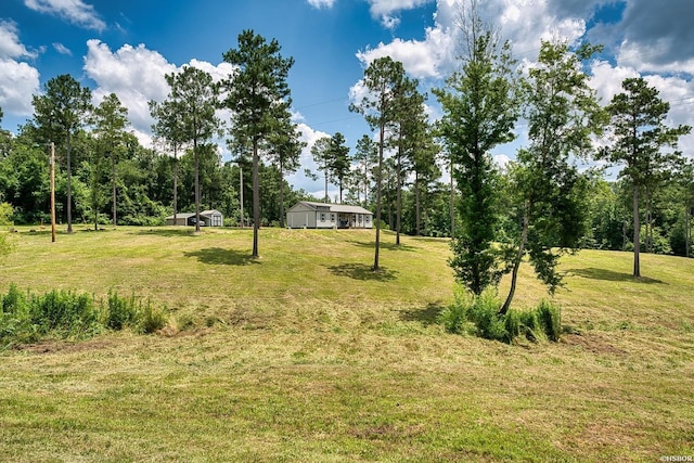 152 Anderson Loop, Amity, AR 71921 - view of green lawn