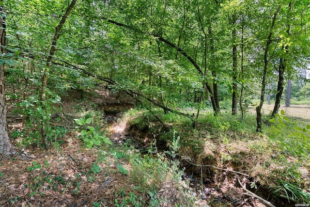 152 Anderson Loop, Amity, AR 71921 - view of woods