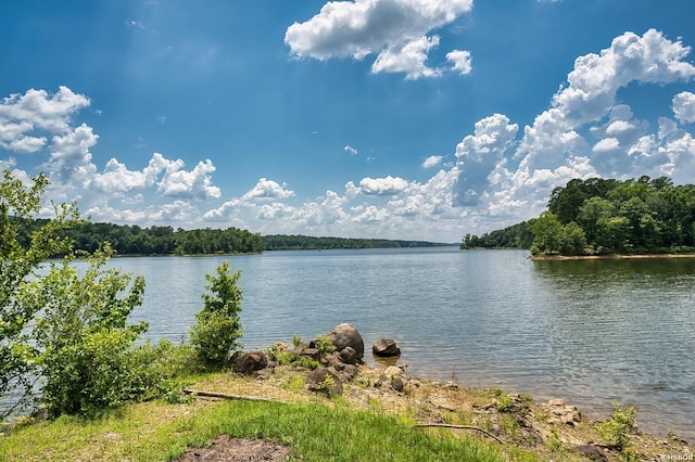 152 Anderson Loop, Amity, AR 71921 - water view featuring a heavily wooded area