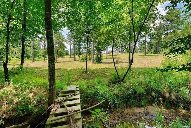 152 Anderson Loop, Amity, AR 71921 - view of yard