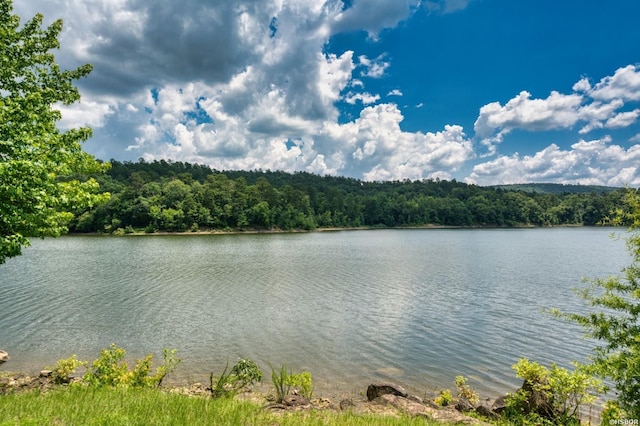 152 Anderson Loop, Amity, AR 71921 - water view with a forest