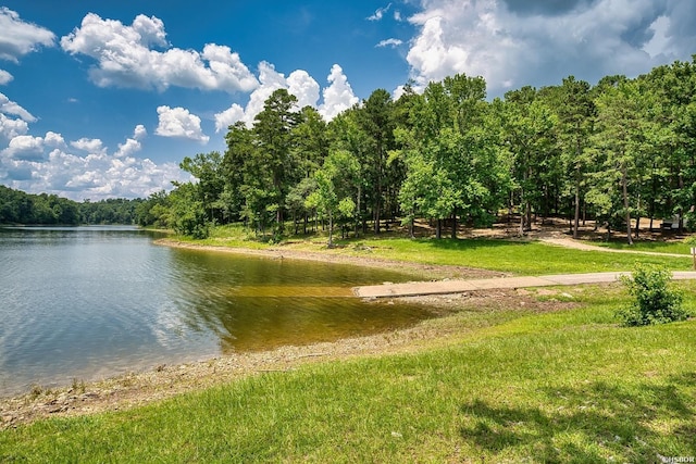 152 Anderson Loop, Amity, AR 71921 - water view featuring a heavily wooded area