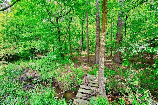 152 Anderson Loop, Amity, AR 71921 - view of local wilderness