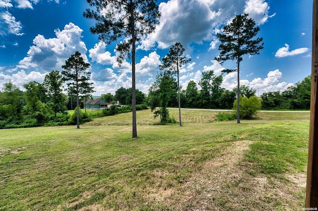152 Anderson Loop, Amity, AR 71921 - view of green lawn
