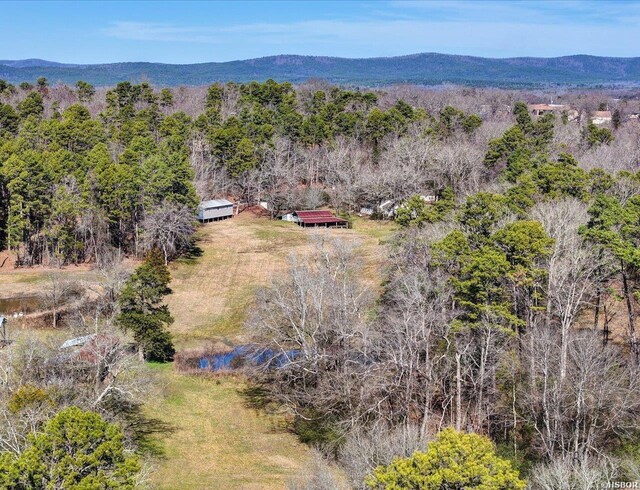 birds eye view of property with a mountain view