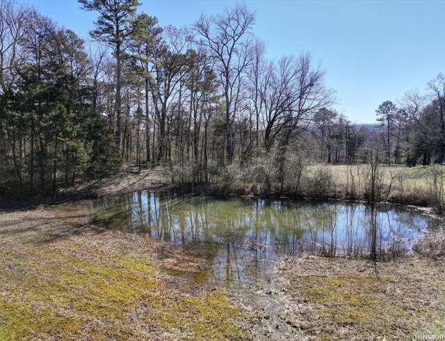 view of water feature featuring a wooded view