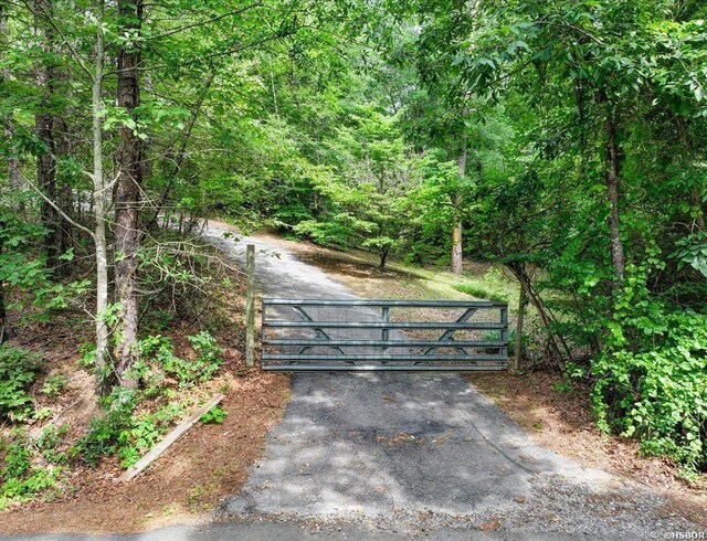 249 River Dr, Oden, AR 71961 - photo 25