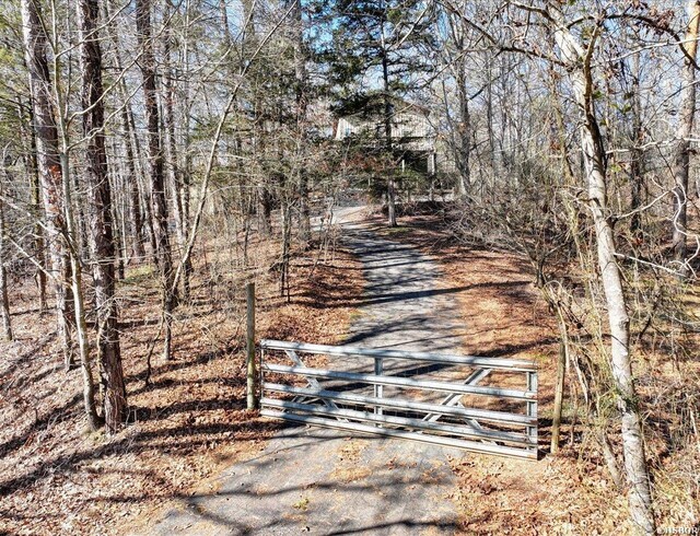 view of street with a gated entry