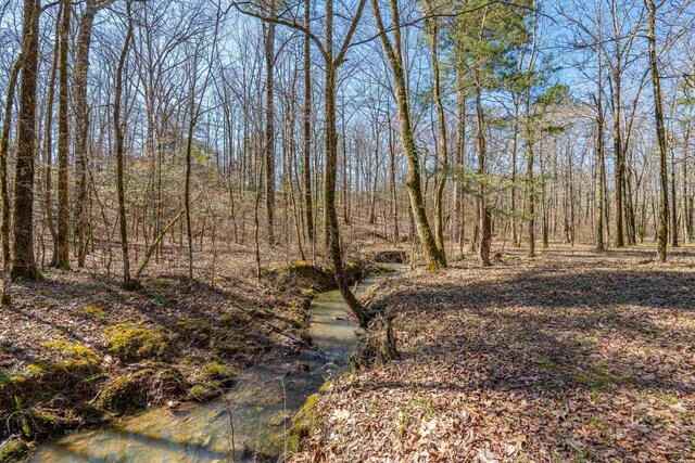 view of nature with a forest view