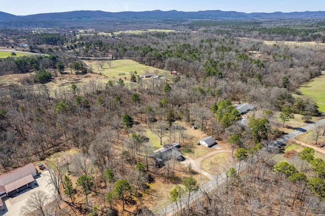 bird's eye view featuring a mountain view and a forest view