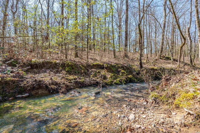 view of nature featuring a wooded view