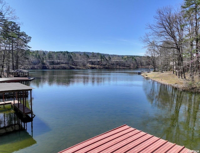 3 Guadalajara Ln, Hot Springs Village, AR 71909 - photo 5
