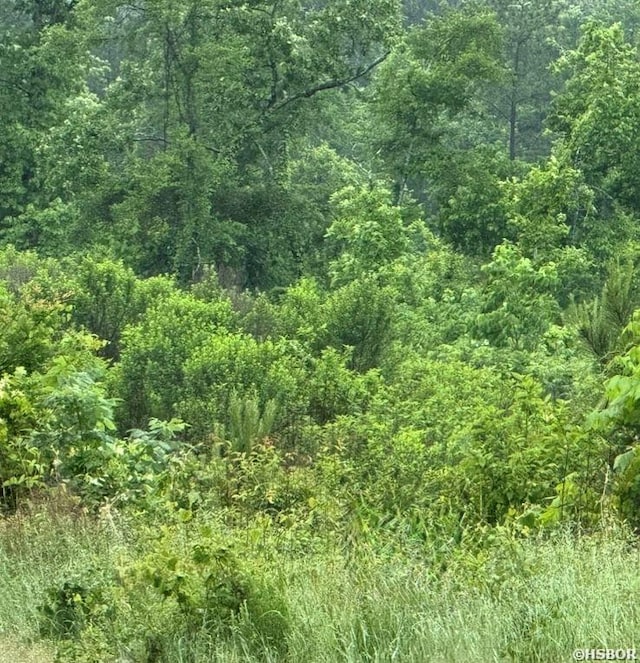 300Block Angel, Amity, AR 71921