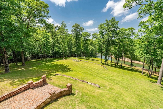 498 Lantern Ter, Hot Springs, AR 71913 - view of grassy yard with view of scattered trees