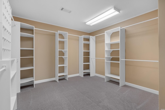 spacious closet featuring carpet and visible vents