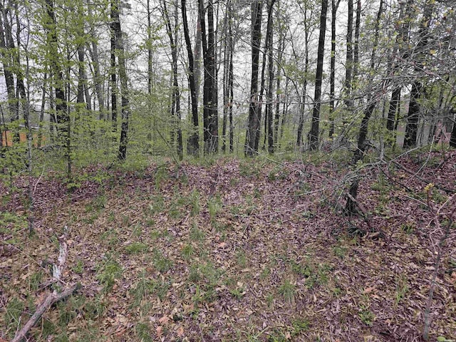 LOT1806 Pebble Beach Dr, Hot Springs, AR 71913 - photo 1