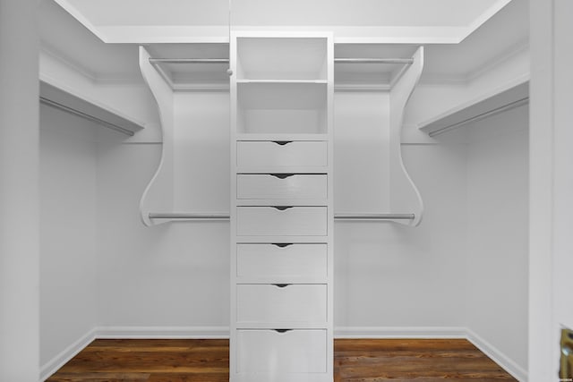 spacious closet with dark wood-style floors