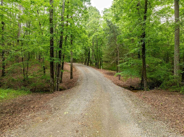 3499 Old Dallas Rd, Bonnerdale, AR 71933 - photo 47