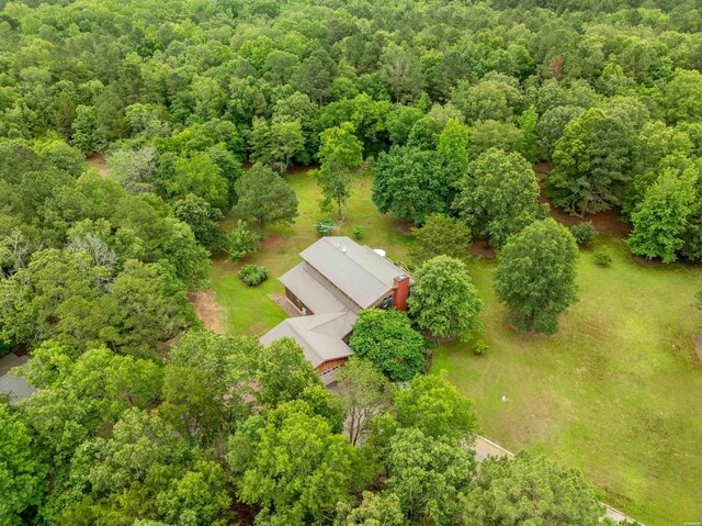 3499 Old Dallas Rd, Bonnerdale, AR 71933 - photo 46