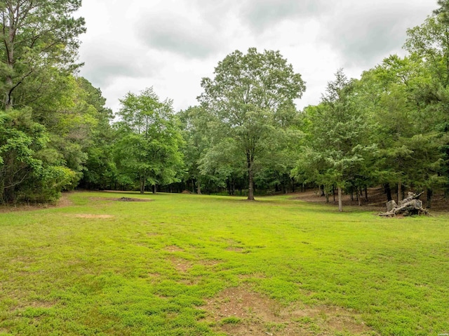 3499 Old Dallas Rd, Bonnerdale, AR 71933 - photo 44