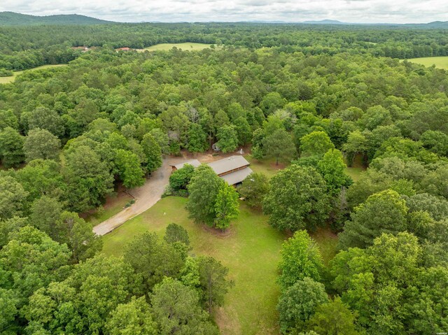 3499 Old Dallas Rd, Bonnerdale, AR 71933 - photo 45