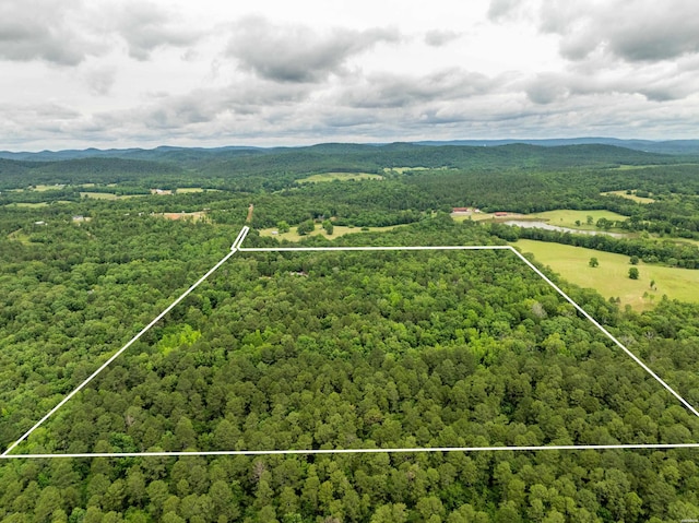 3499 Old Dallas Rd, Bonnerdale, AR 71933 - photo 49