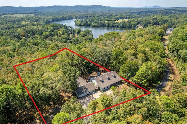 aerial view with a water view and a view of trees