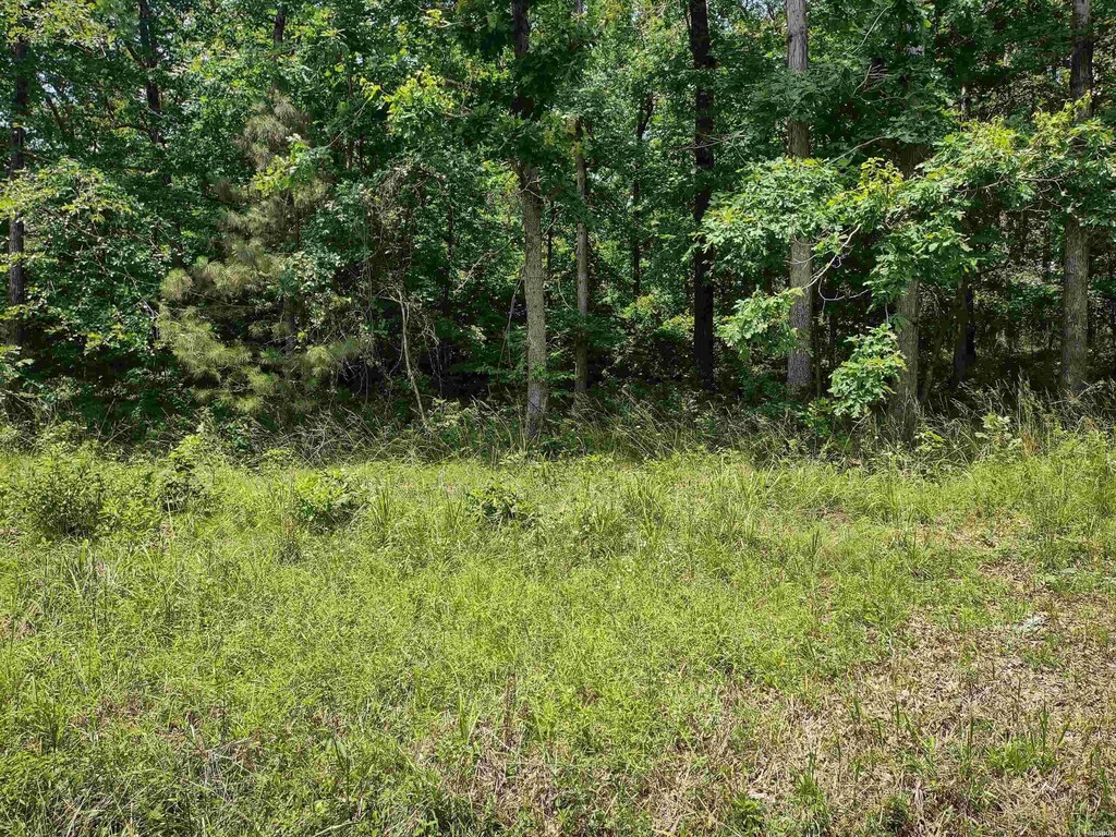 2995 Ivy Hill, Hot Springs, AR 71913 - photo 1